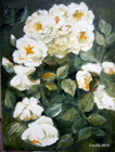 Rose bianche