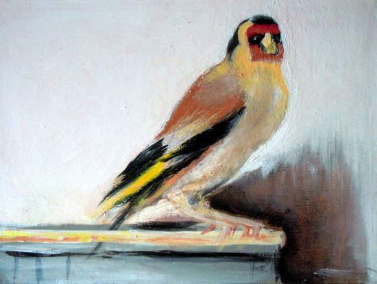 Il cardellino. Copia da Fabritius
